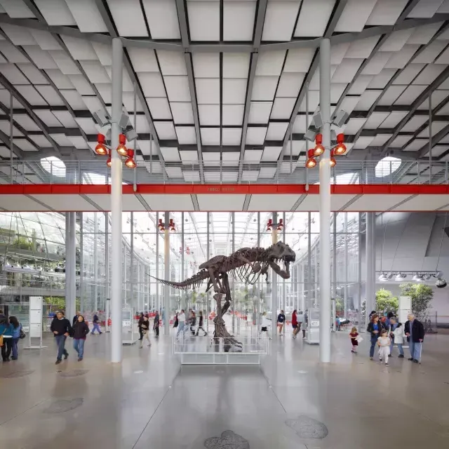 Dinosaur at the California Academy of Sciences